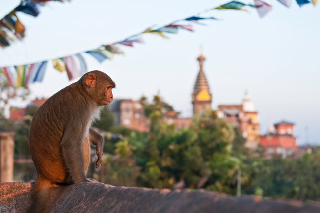 Minden amit tudni érdemes Nepálról